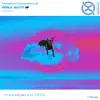 JosephRemix Dj & Paladium92 - Elsa 8 Month (Radio Mix) - Single